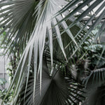 VIK Tote Bag - Large