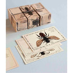 Wooden Blocks Bee Life - Species