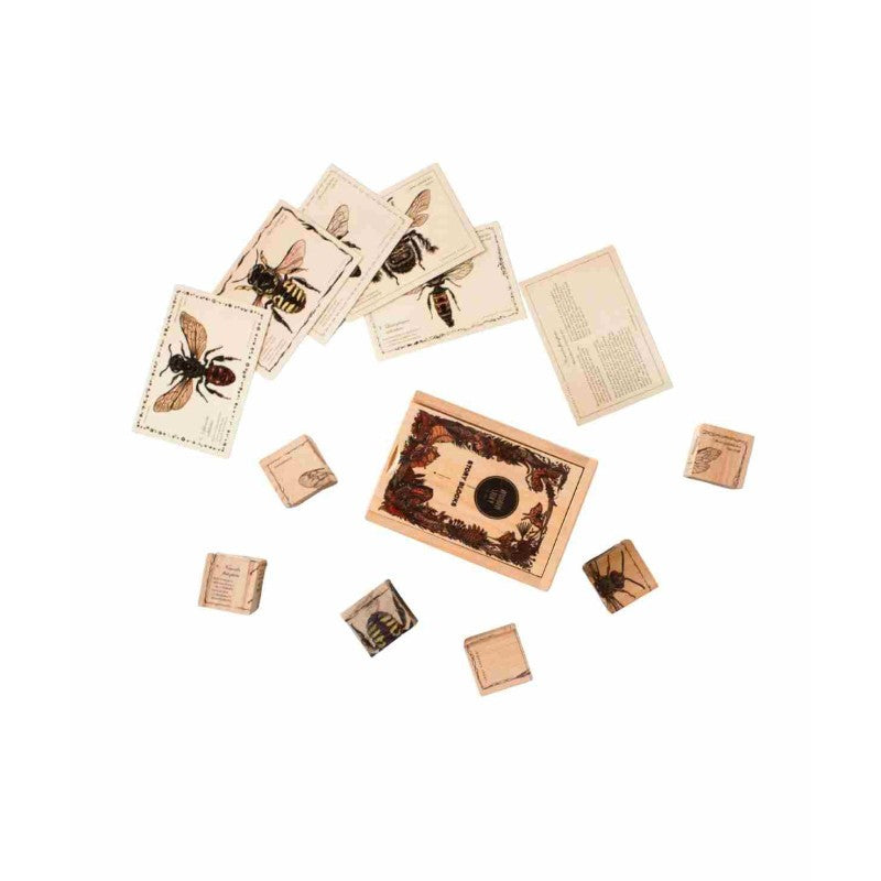 Wooden Blocks Bee Life - Species